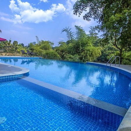 Pepper Green Wayanad Resort With Swimming Pool Kattikkulam Dış mekan fotoğraf