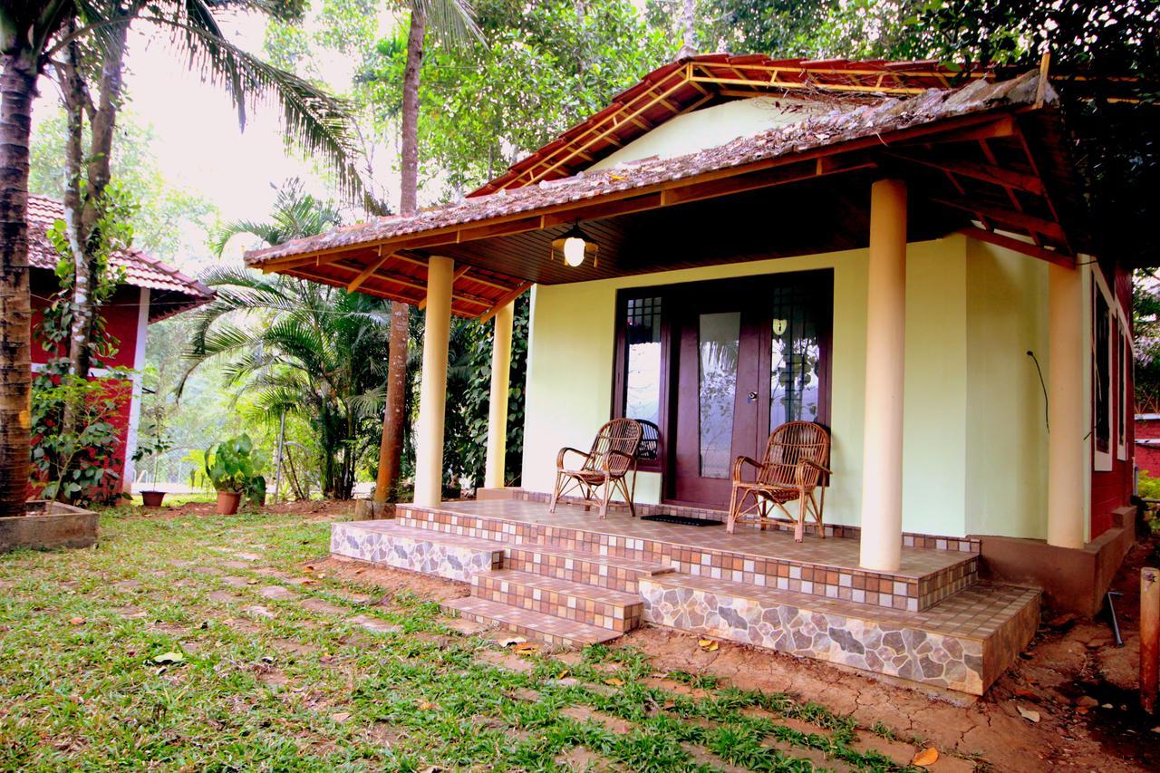 Pepper Green Wayanad Resort With Swimming Pool Kattikkulam Dış mekan fotoğraf