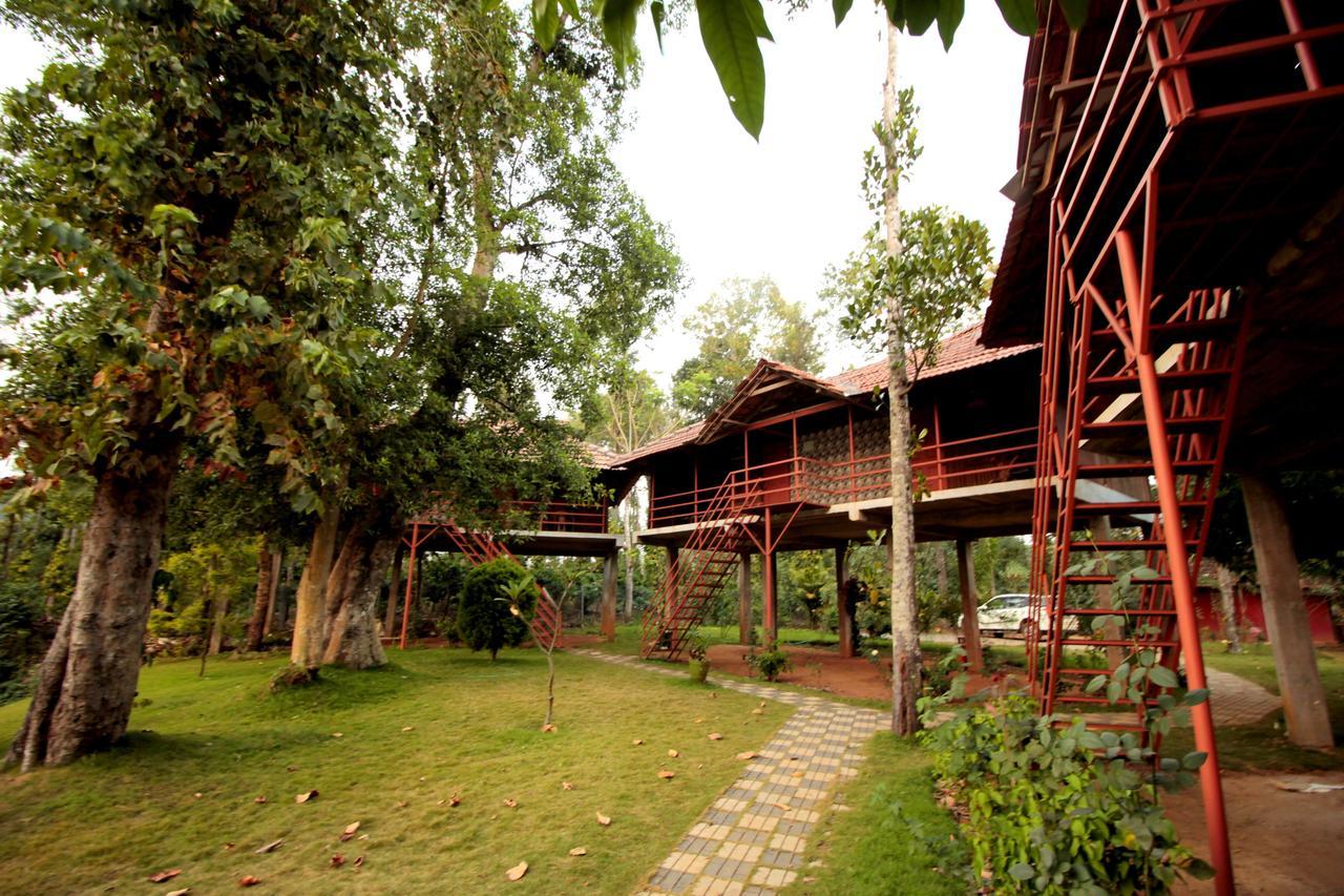Pepper Green Wayanad Resort With Swimming Pool Kattikkulam Dış mekan fotoğraf