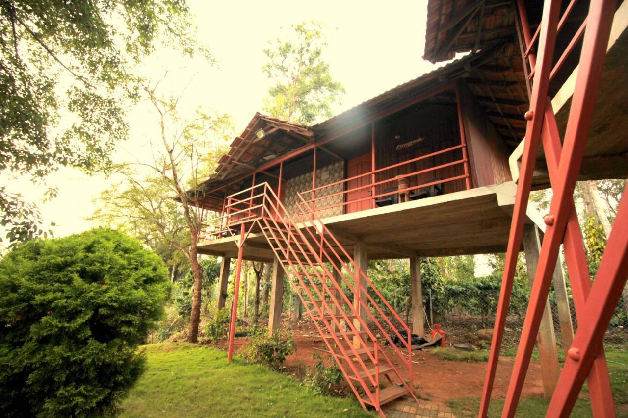 Pepper Green Wayanad Resort With Swimming Pool Kattikkulam Dış mekan fotoğraf