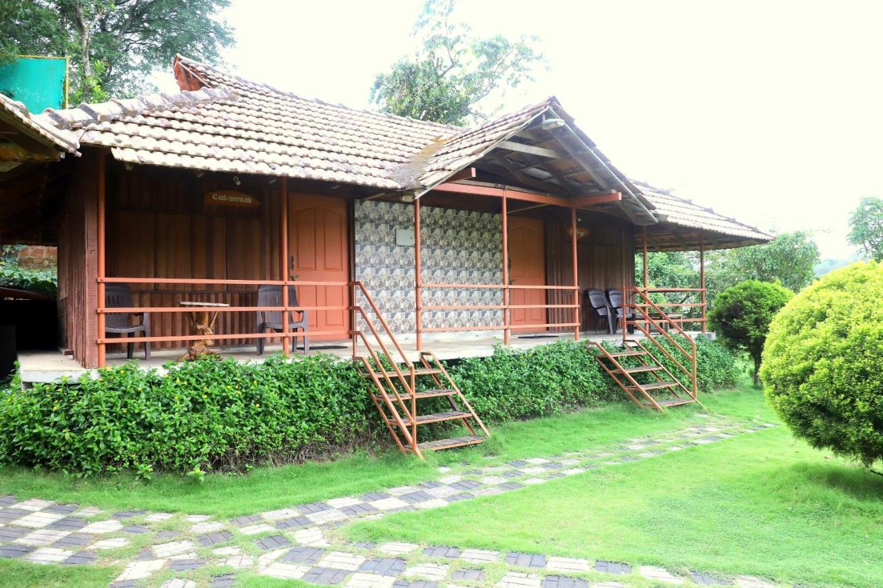 Pepper Green Wayanad Resort With Swimming Pool Kattikkulam Dış mekan fotoğraf