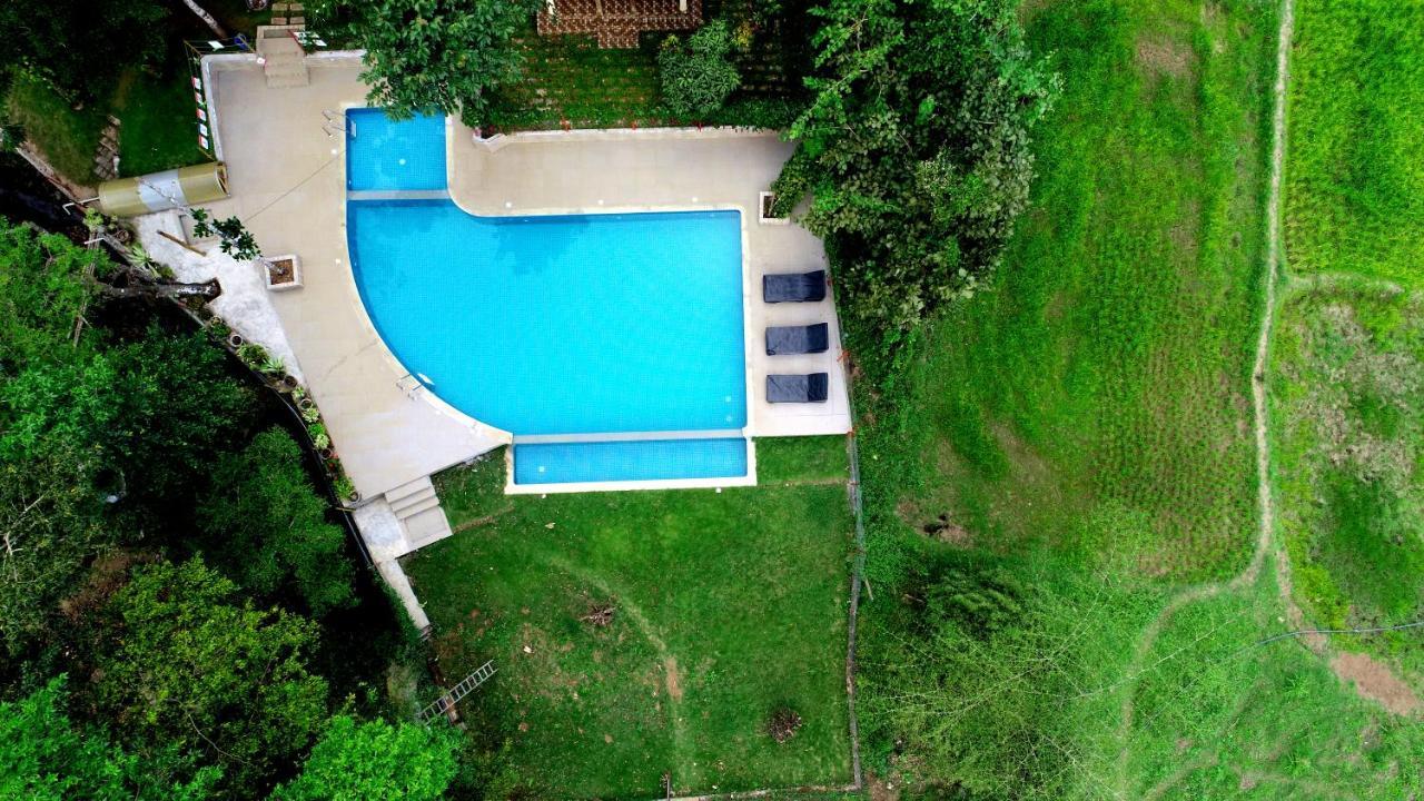 Pepper Green Wayanad Resort With Swimming Pool Kattikkulam Dış mekan fotoğraf