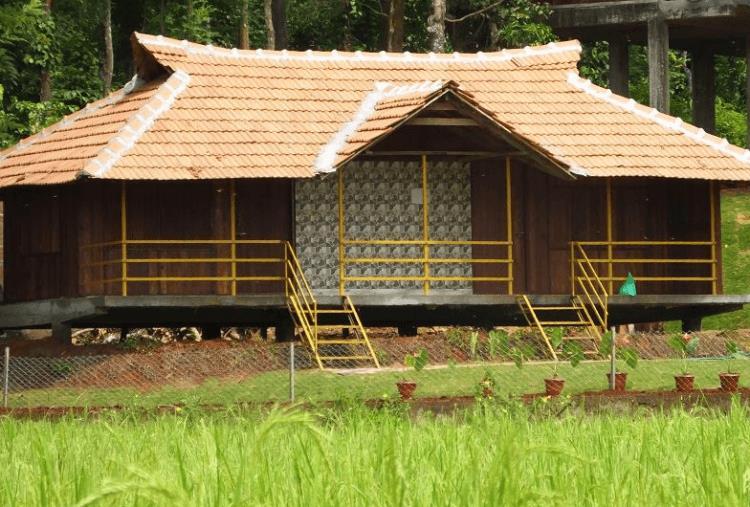 Pepper Green Wayanad Resort With Swimming Pool Kattikkulam Dış mekan fotoğraf